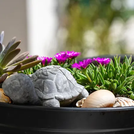 Old Queen By Interhome *