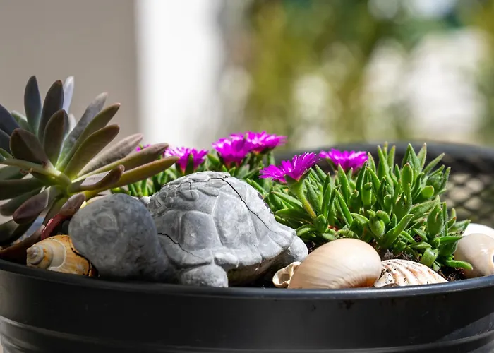 Old Queen By Interhome *